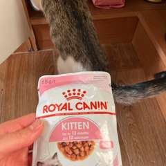 Фото отзыва 10633978