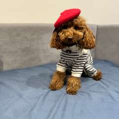 Фото отзыва 6805383