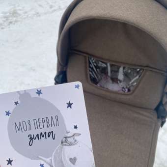 Коляска 3в1 MOWbaby Zoom new 3в1, gold cacao brown коричневый: отзыв пользователя Детский Мир