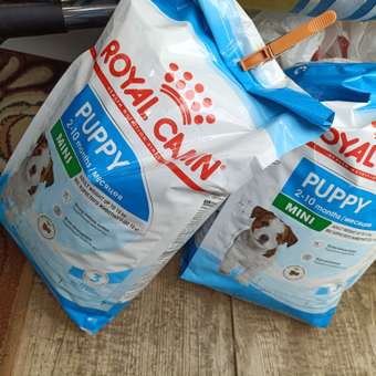 Корм для щенков ROYAL CANIN Puppy мелких пород 2кг: отзыв пользователя. Зоомагазин Зоозавр