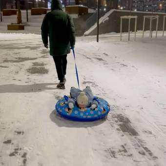 Тюбинг F78 100 см: отзыв пользователя Детский Мир