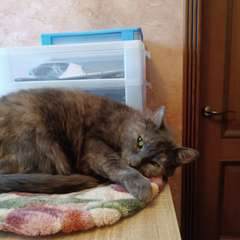 Фото отзыва 10887826