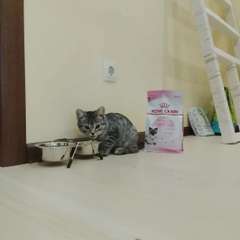 Фото отзыва 10997844