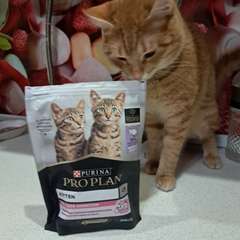 Фото отзыва 10729829