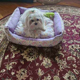 Лежанка для животных Gamma Лама M прямоугольная 52*45*17см: отзыв пользователя. Зоомагазин Зоозавр