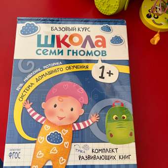 Комплект книг Базовый курс Школа Семи Гномов 1+ (6 книг +развивающие игры для детей 1-2лет): отзыв пользователя ДетМир