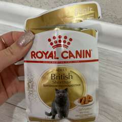 Фото отзыва 10579315