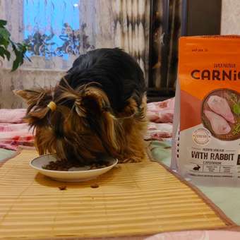 Корм для собак Carnica 0,4кг с кроликом для чувствительного пищеварения для мелких пород сухой: отзыв пользователя. Зоомагазин Зоозавр