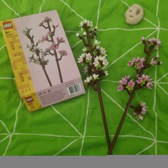 Конструктор LEGO Botanicals Цветение вишни 430 дет.: отзыв пользователя Детский Мир