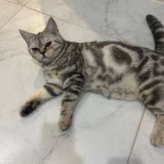 Фото отзыва 10828010