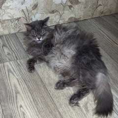 Фото отзыва 10561793