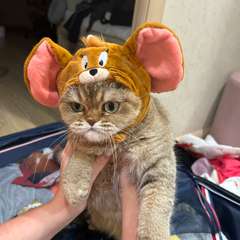 Фото отзыва 10958390