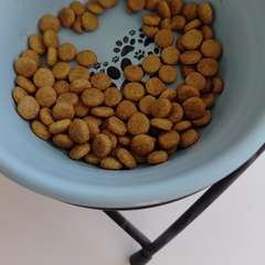 Фото отзыва 11002002