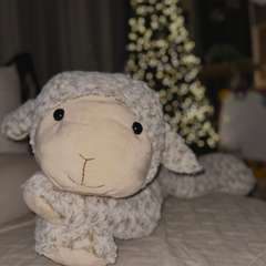 Фото отзыва 10819815