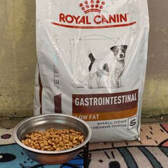 Корм для собак ROYAL CANIN Gastrointestinal low fat мелких пород 3кг: отзыв пользователя. Зоомагазин Зоозавр