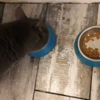 Корм сухой для кошек PRO PLAN 3кг с лососем: отзыв пользователя. Зоомагазин Зоозавр