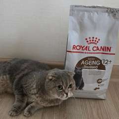 Фото отзыва 10581205