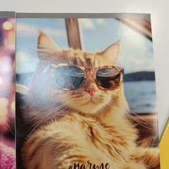 Тетрадь Erhaft линейка 24 лист. 1 шт. в ассортименте: отзыв пользователя Детский Мир