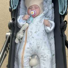 Фото отзыва 10343287