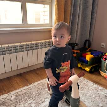 Футболка BabyGo: отзыв пользователя Детский Мир