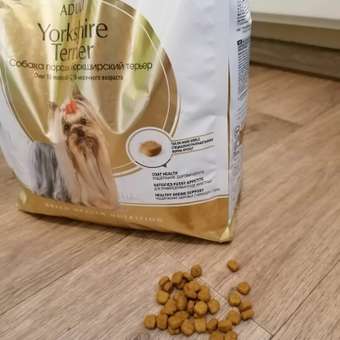 Корм для собак ROYAL CANIN породы йоркширский терьер 1.5кг: отзыв пользователя. Зоомагазин Зоозавр
