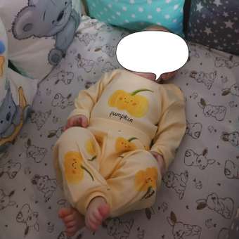 Комплект Baby Gо Trend: отзыв пользователя Детский Мир