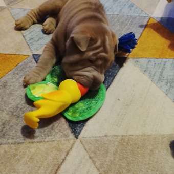 Игрушка для собак Barbaks Утка Рита из латекса с пищалкой 22см: отзыв пользователя. Зоомагазин Зоозавр