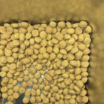 Корм для собак Royal Canin 1.5кг полнорационный для взрослых собак мелких пород для снижения веса: отзыв пользователя. Зоомагазин Зоозавр