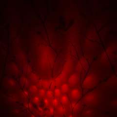 Фото отзыва 10584897