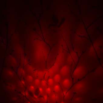 Микрофон Азбукварик Диско-шоу Песенки-хиты 3092: отзыв пользователя Детский Мир