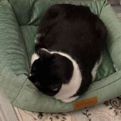 Фото отзыва 10728950