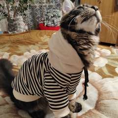 Фото отзыва 10492133