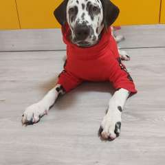 Фото отзыва 10531196