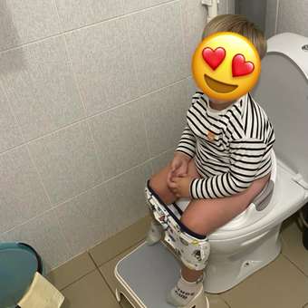 Накладка на унитаз BabyGo Royal Comfort серый: отзыв пользователя Детский Мир