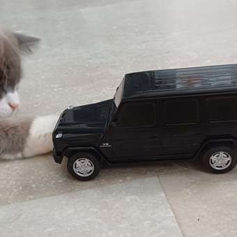 Автомобиль РУ Rastar Mercedes 1:24: отзыв пользователя ДетМир