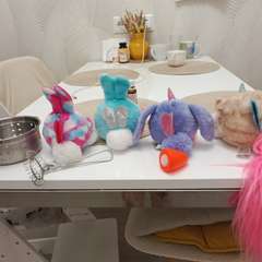 Фото отзыва 11025066