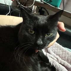 Фото отзыва 10776068