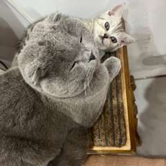 Фото отзыва 10550647