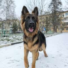 Фото отзыва 10783020