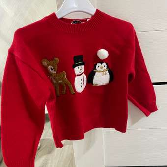 Джемпер Futurino: отзыв пользователя Детский Мир