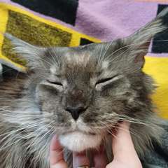 Фото отзыва 10539743