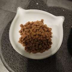 Фото отзыва 10699749