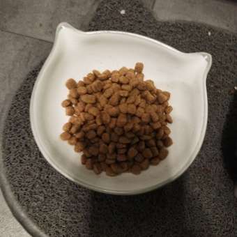 Корм сухой для кошек PRO PLAN 1.5кг с курицей при стерилизации и кастрации c чувствительным пищеварением: отзыв пользователя. Зоомагазин Зоозавр