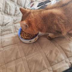 Фото отзыва 10941513