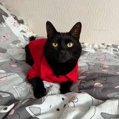 Фото отзыва 11040882