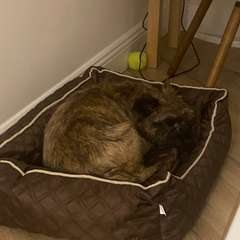 Фото отзыва 2778732