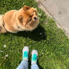 Фото отзыва 10452389