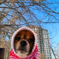 Фото отзыва 10712710