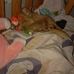 Фото отзыва 10697150