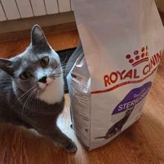 Фото отзыва 10950247